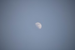 IMG_7620