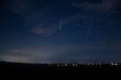 MG_1486