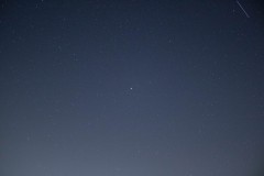 MG_0993