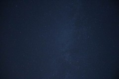 MG_1004