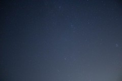 MG_1005