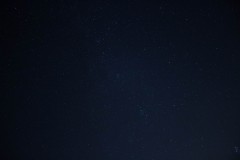MG_1006