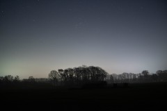 MG_1007