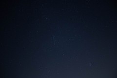 MG_1009