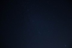 MG_1010