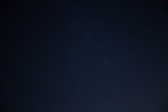 MG_1018