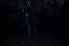 MG_1922