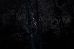 MG_1996
