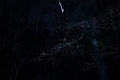 MG_2021