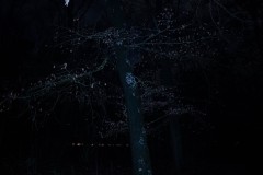 MG_2030