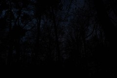 MG_2047