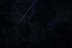 MG_2078