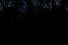 MG_2089