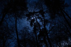 MG_2215