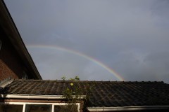 IMG_0146