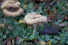 IMG_8105