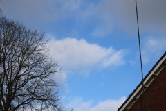 IMG_9528
