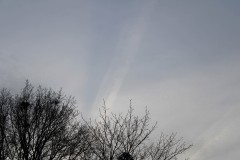 IMG_9531